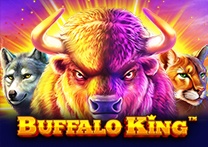 www.bubffaloking.com