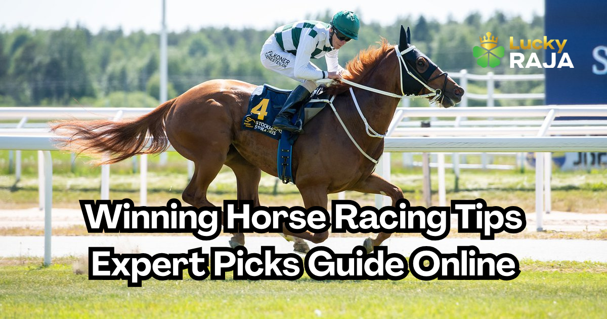 Winning Horse Racing Tips Expert Picks Guide Online